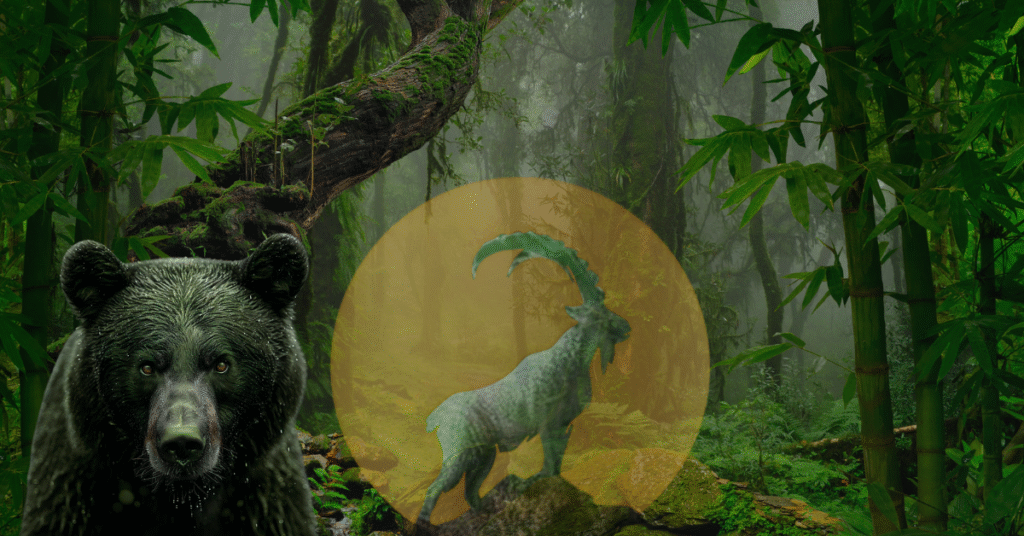 wildlife