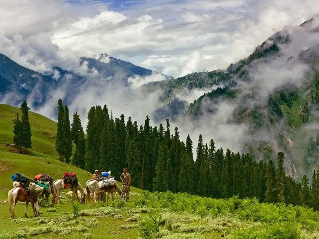 How to Reach Makra Peak from Shogran (Beginner-Friendly Guide)