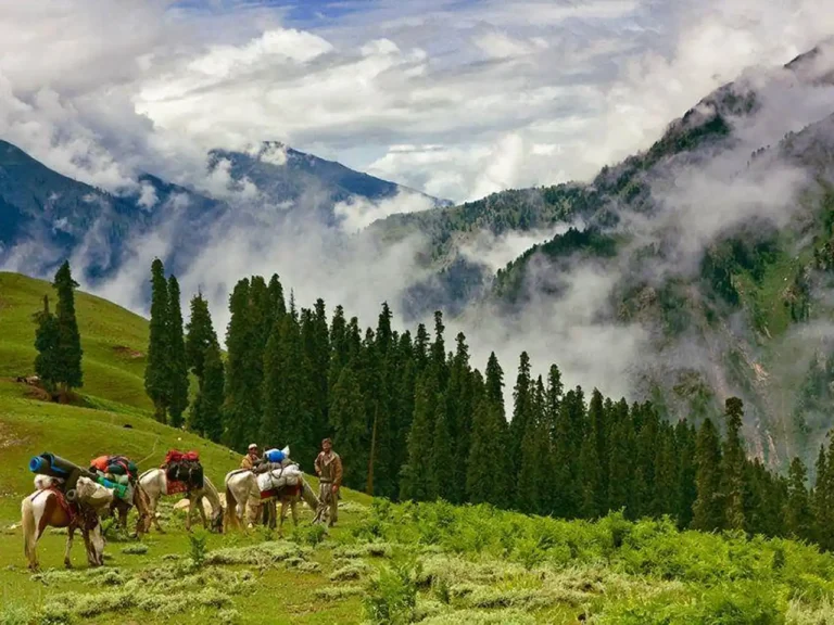 How to Reach Makra Peak from Shogran (Beginner-Friendly Guide)